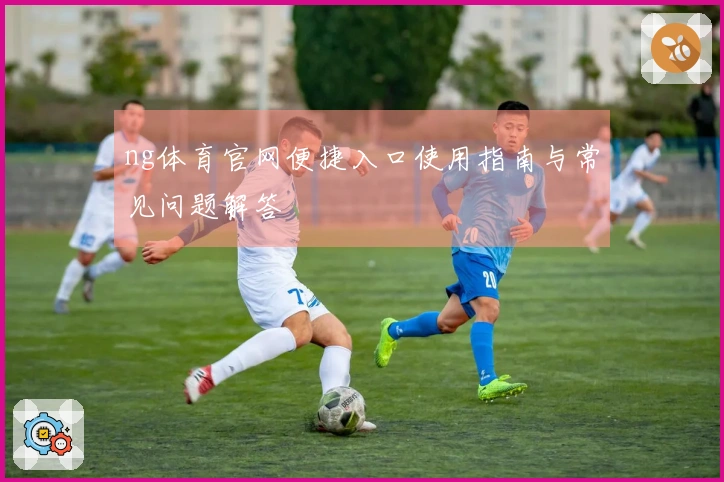 ng体育官网便捷入口使用指南与常见问题解答