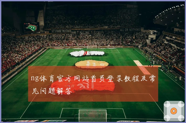 ng体育官方网站首页登录教程及常见问题解答