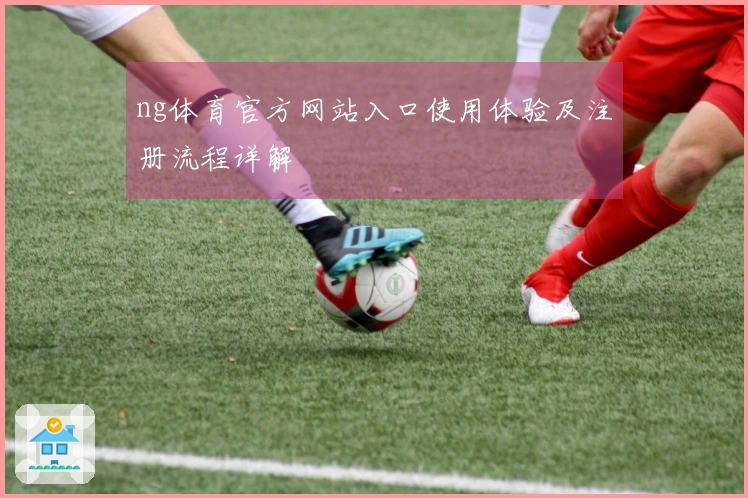 ng体育官方网站入口使用体验及注册流程详解