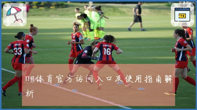 ng体育官方访问入口及使用指南解析