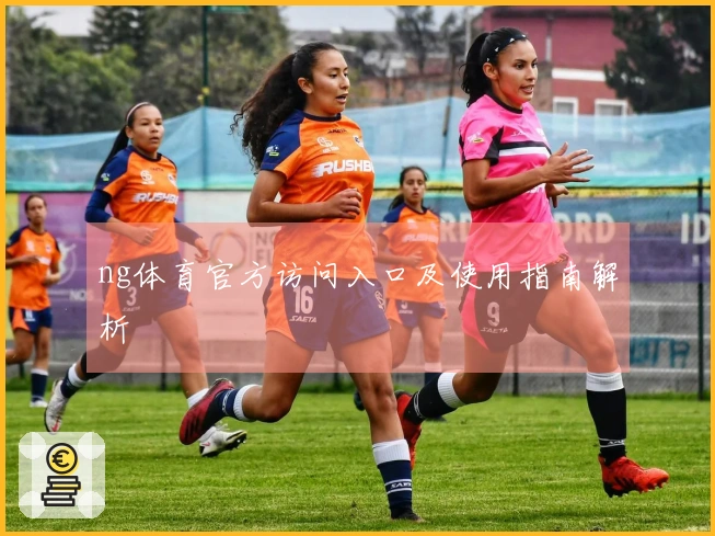 ng体育官方访问入口及使用指南解析