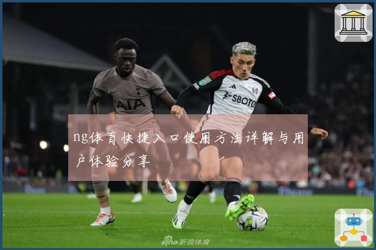 ng体育快捷入口使用方法详解与用户体验分享