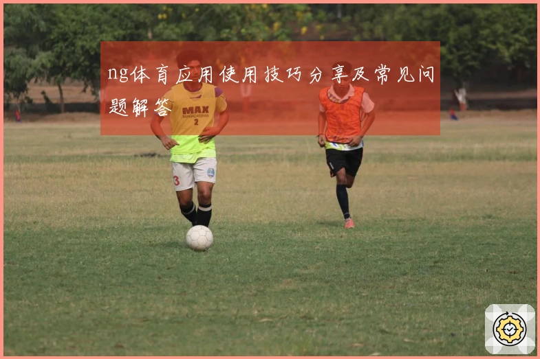 ng体育应用使用技巧分享及常见问题解答