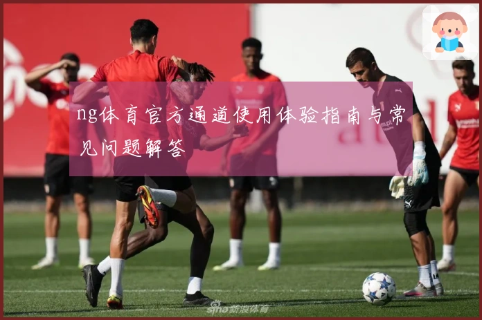 ng体育官方通道使用体验指南与常见问题解答